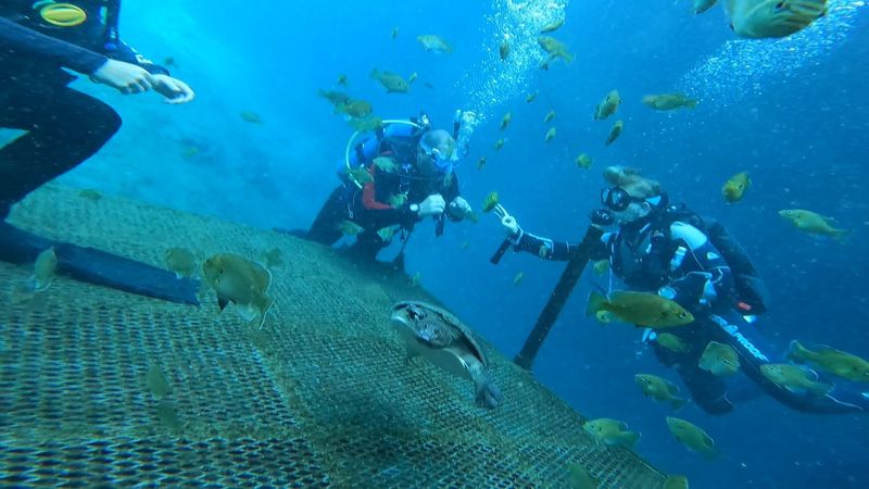 The Legendary Diving Bell Experience