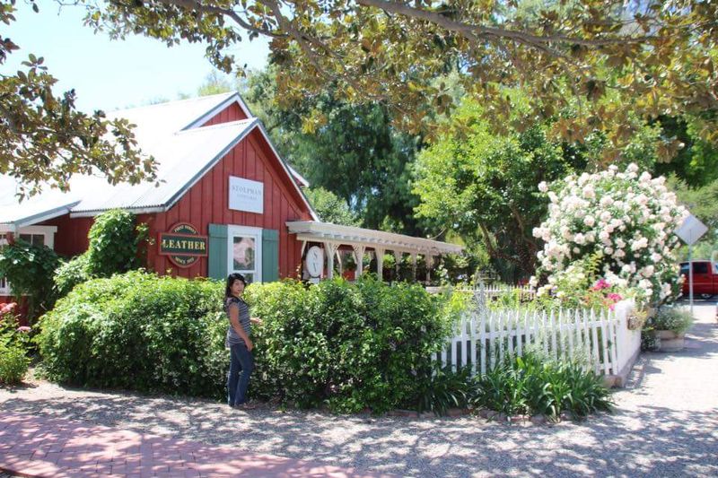 The Los Olivos Farmers Market Experience