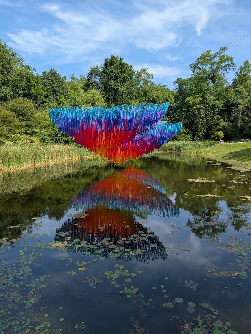 The Lotus Pond Is Genuinely Mesmerizing The Lotus Pond Is Genuinely Mesmerizing