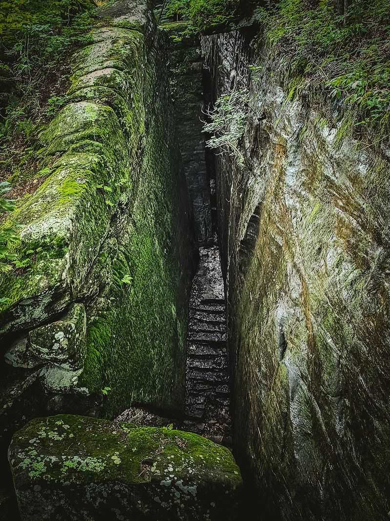 The Lower Trail: Where the Real Adventure Begins