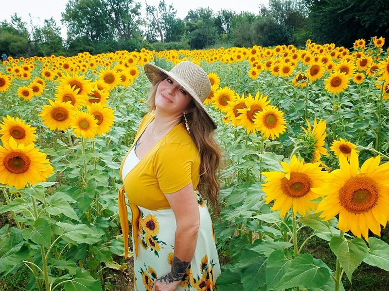 The Magic of Cut-Your-Own Sunflowers The Magic of Cut-Your-Own Sunflowers