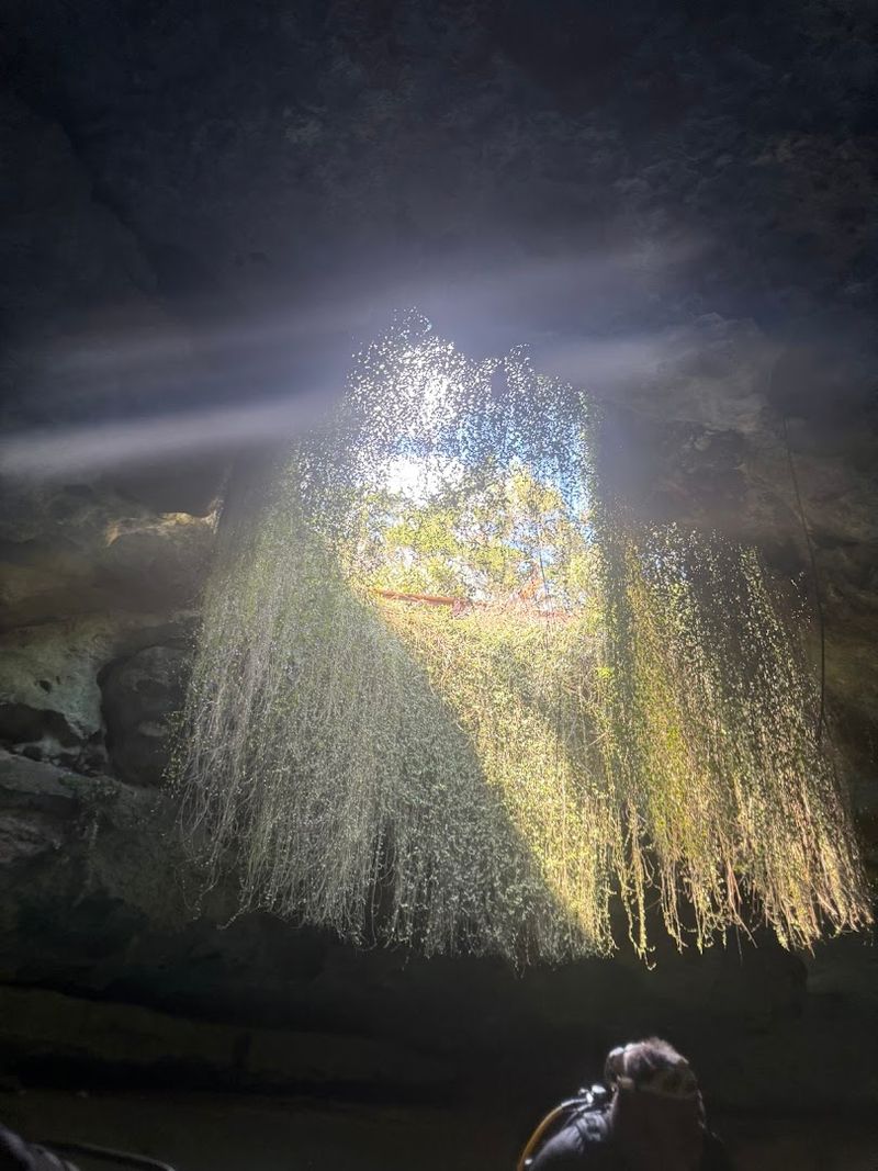 The Magic of Sunlight Streaming Through the Opening Above