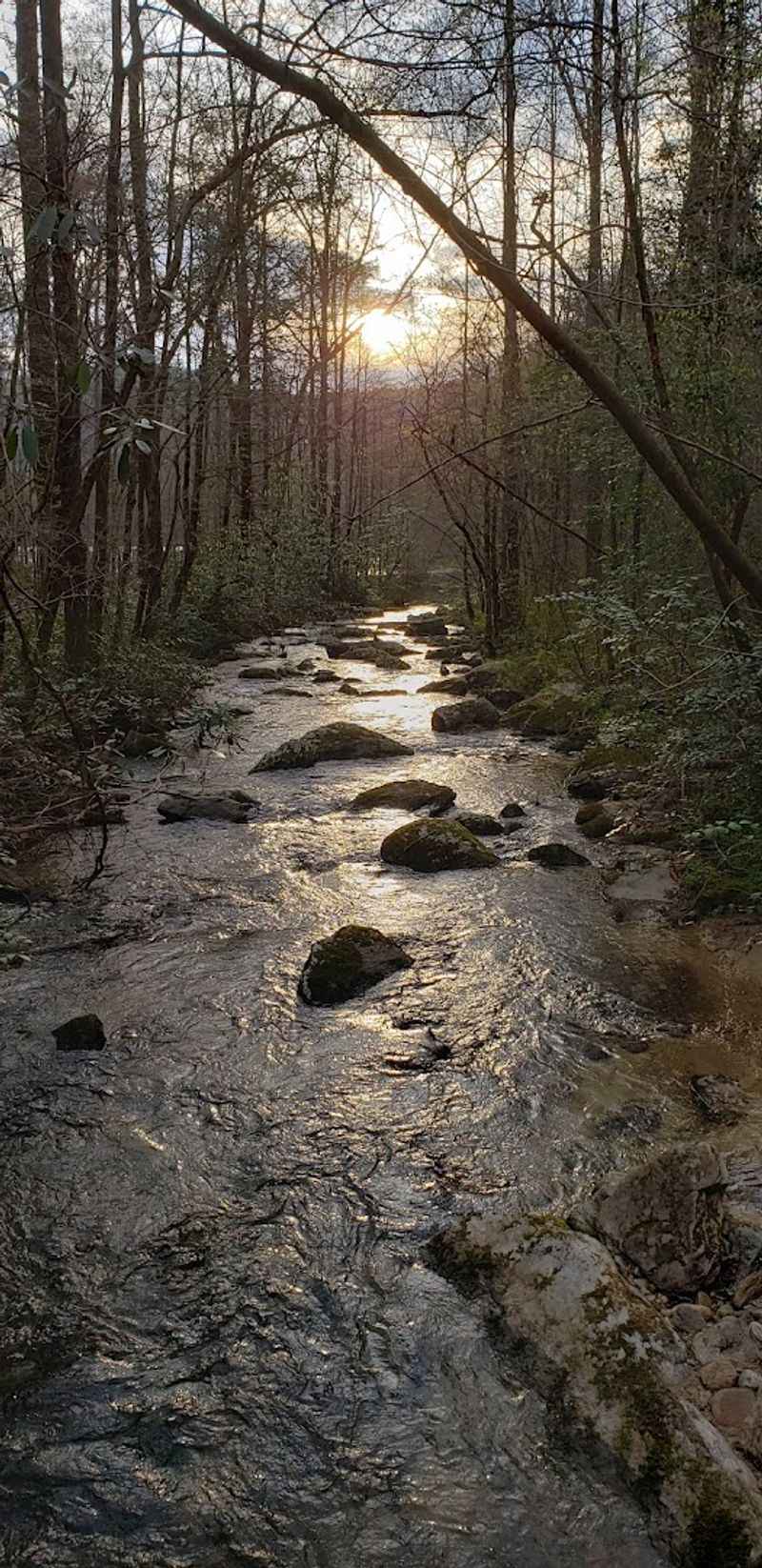 The Make-A-Wish Trailblaze Challenge Runs Right Here