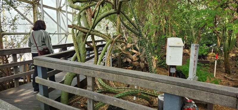 The Mangrove Wetland and Savanna You Didn't Expect