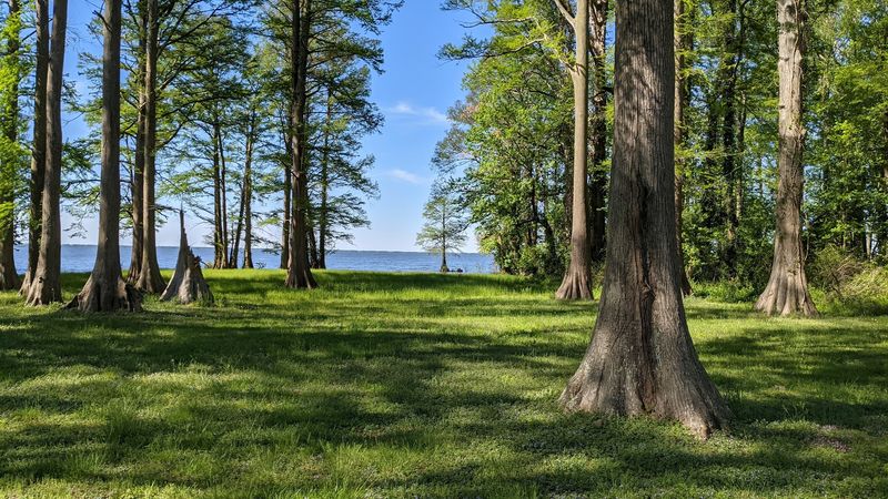 The Moccasin Overlook Hike
