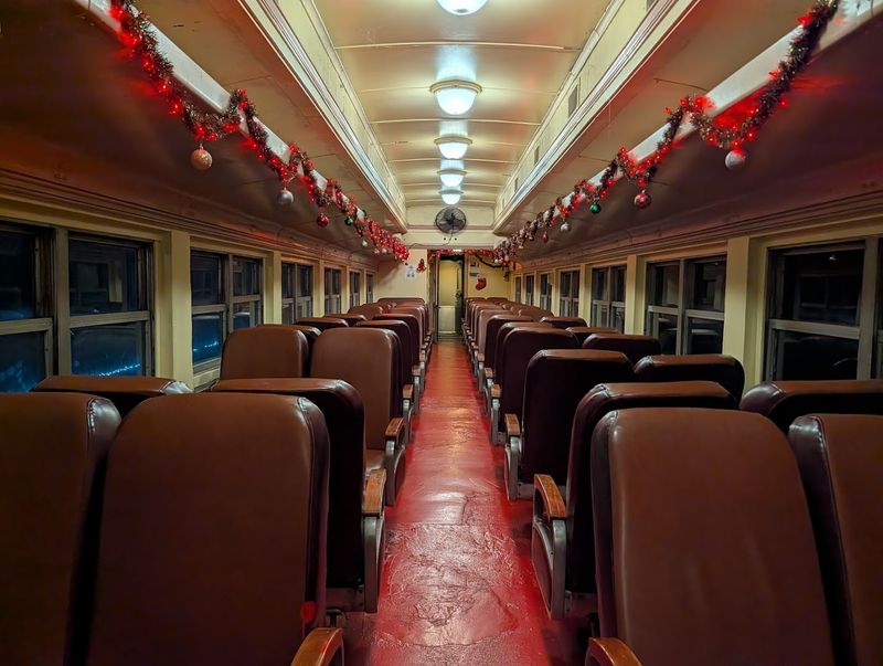 The Murder Mystery Train Event