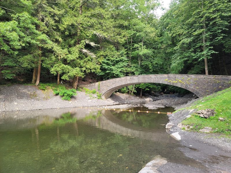 The Natural Swimming Area in the Creek