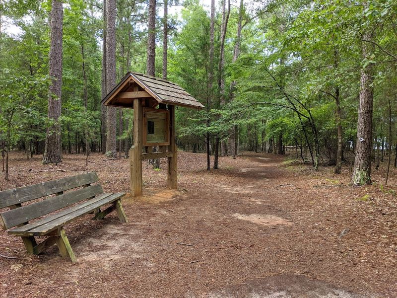 The Nature Trail That Even Young Kids Can Conquer