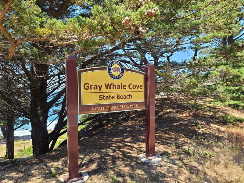 The Nearby Coastal Trail for Hikers