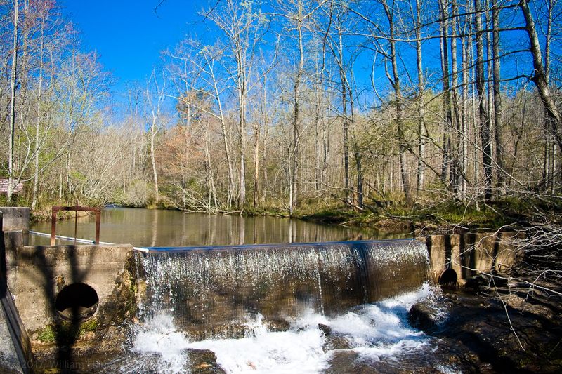 The Neighboring Fish Hatchery Experience
