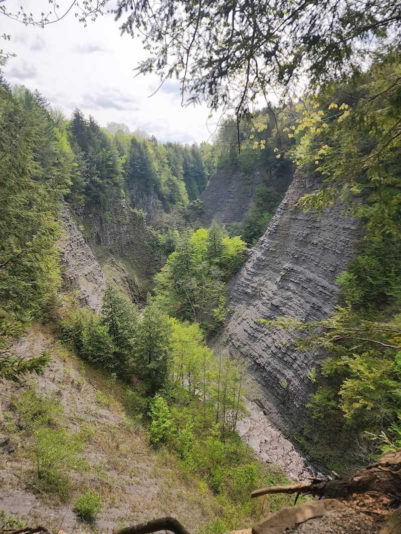 The Observation Tower Trail for the Brave-Hearted
