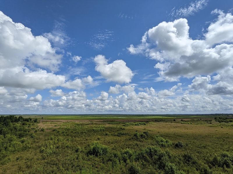 The Observation Tower View That Stops You Cold