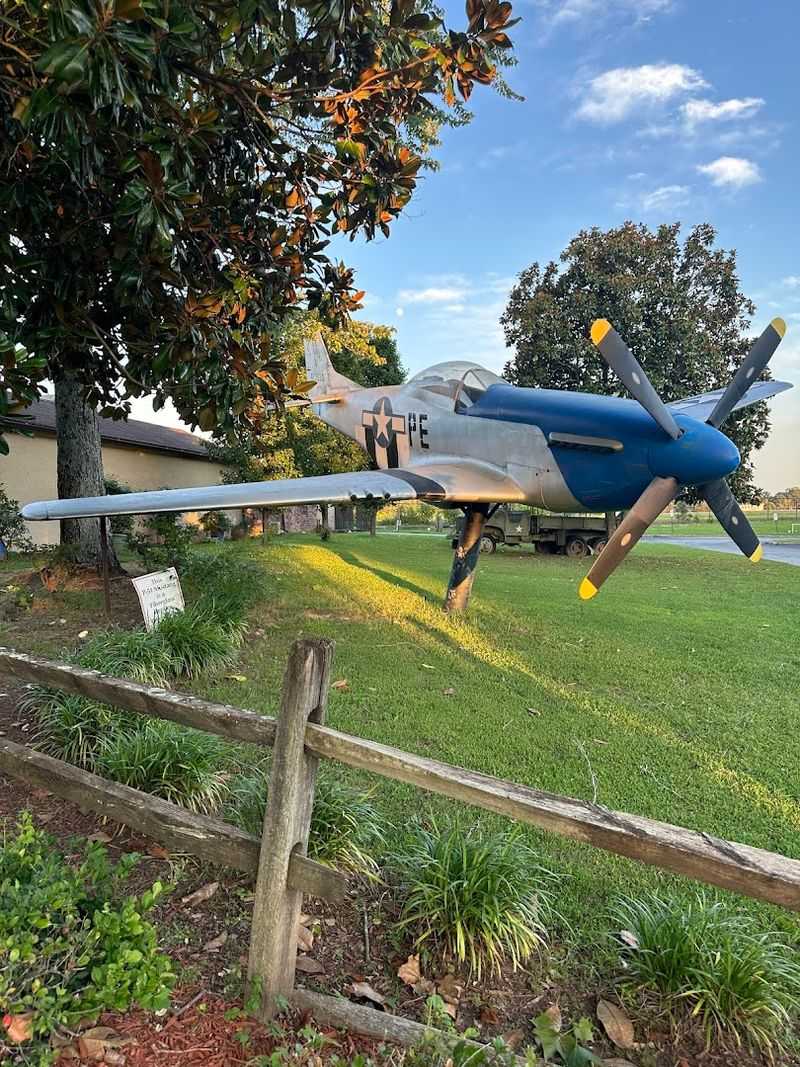 The P-51 Mustang Out Front Sets the Tone Before You Even Walk In