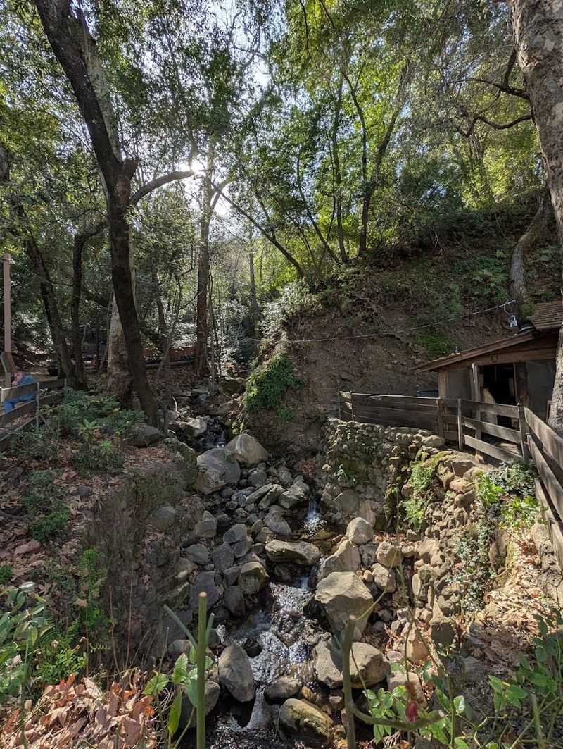 The Peaceful Sound of a Nearby Mountain Stream