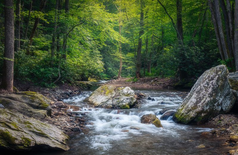 The Peaceful Sounds of Doe River
