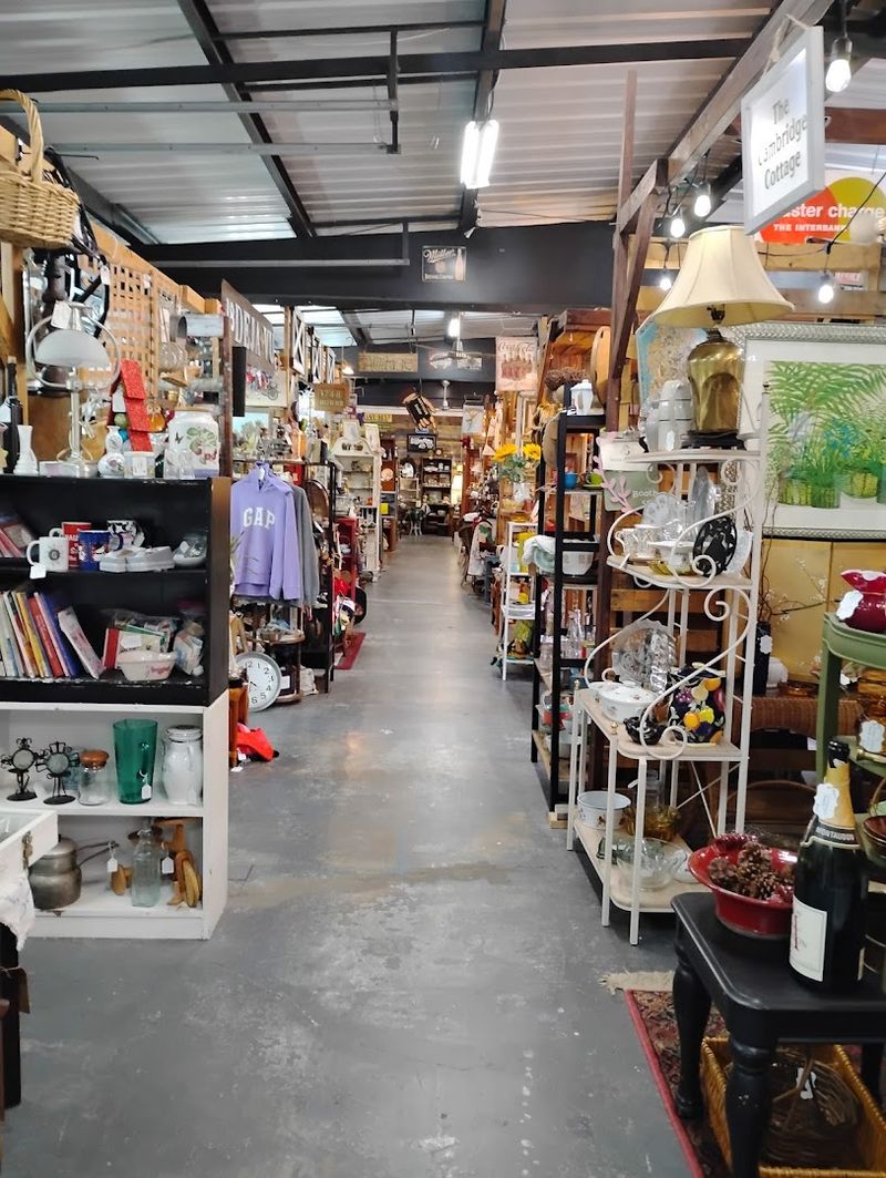 The Perfect Spot for Nostalgic Treasure Hunting