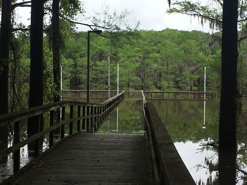 The Pier View That Stops Every Visitor in Their Tracks