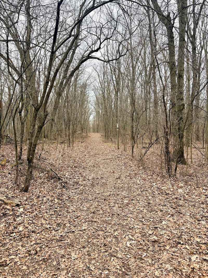 The Primitive Campground That Time Forgot