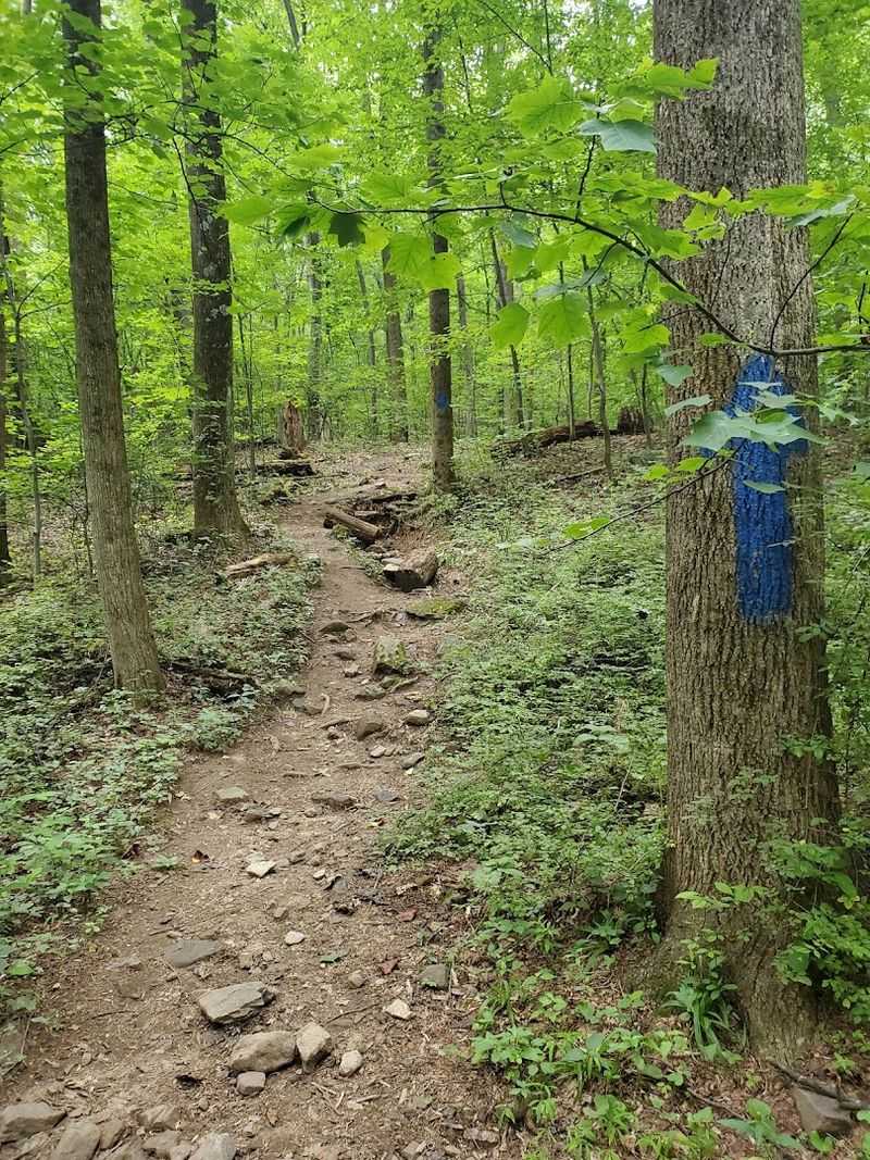 The Pulpit-Pinnacle Loop: A Legendary Seven-Mile Challenge The Pulpit-Pinnacle Loop: A Legendary Seven-Mile Challenge