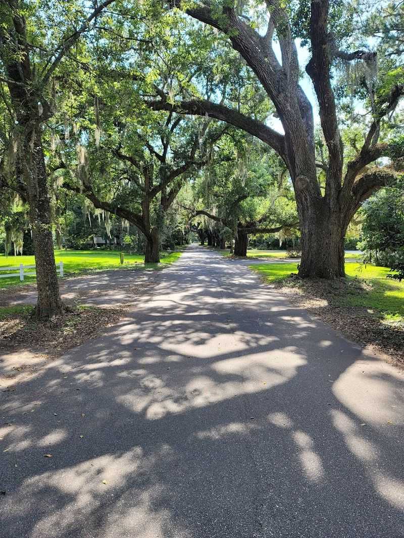 The Quiet, Unhurried Pace of Small-Town Lowcountry Life