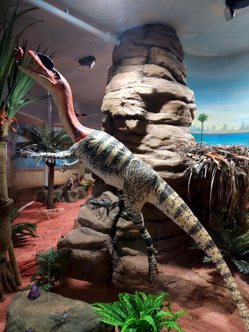 The Reptile Room — A Hidden Gem Inside the Museum