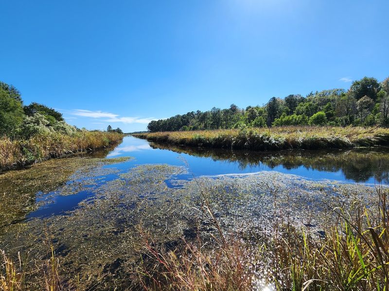 The Rice Field Trails and Their Stunning Views
