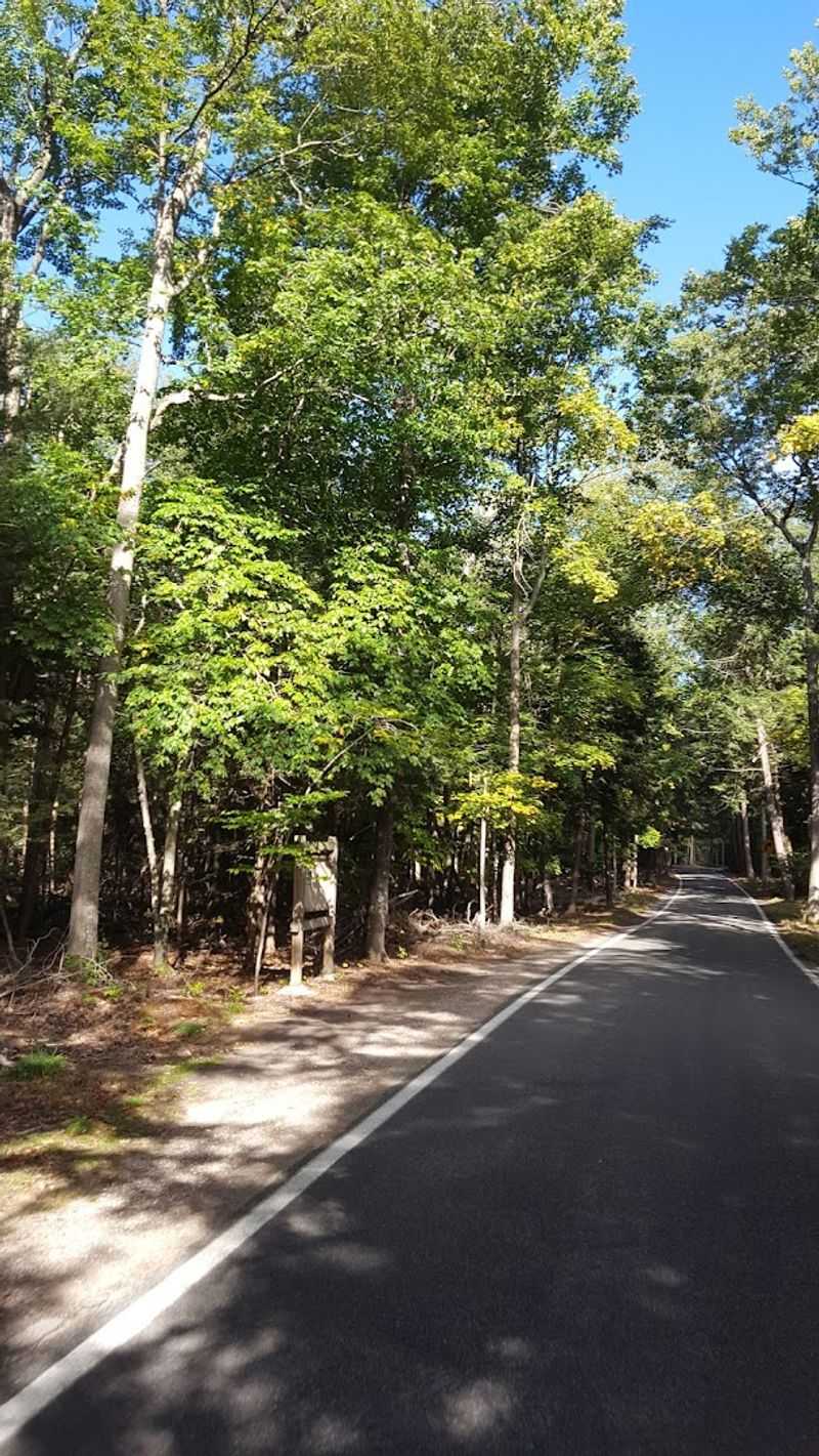 The Road Itself: Winding, Narrow, and Wonderfully Slow