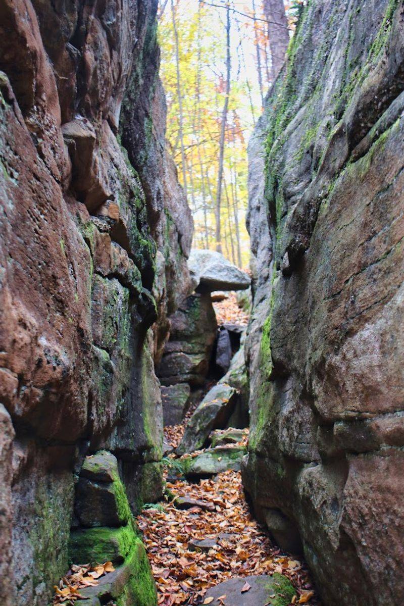The Rock Garden Adventure