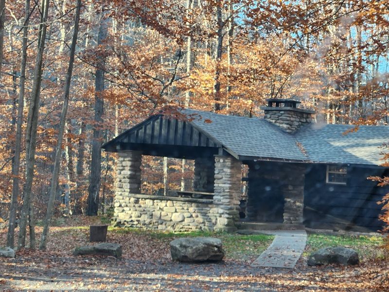 The Rustic Cabin Experience