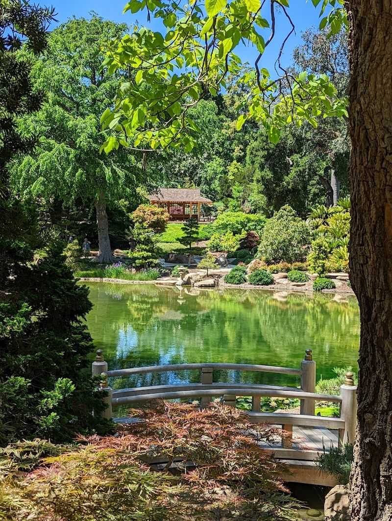 The Serene Japanese Garden