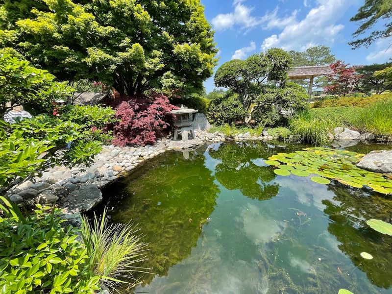 The Serene Japanese Tea Garden