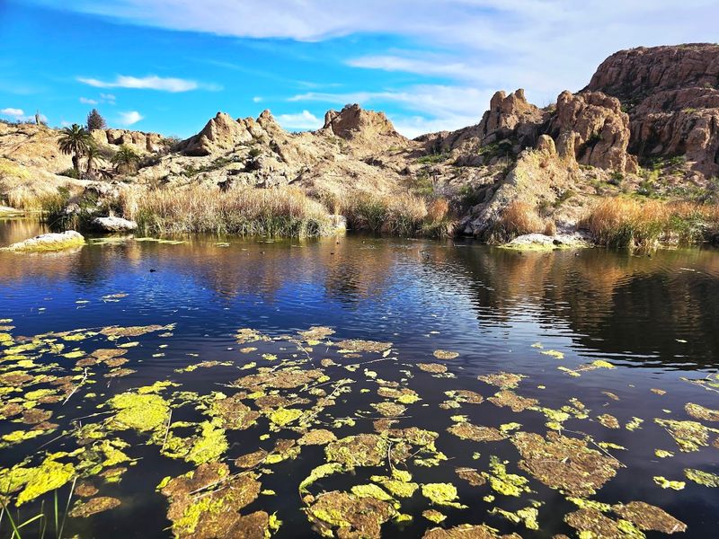 The Serene Lake That Feels Like a Desert Oasis The Serene Lake That Feels Like a Desert Oasis