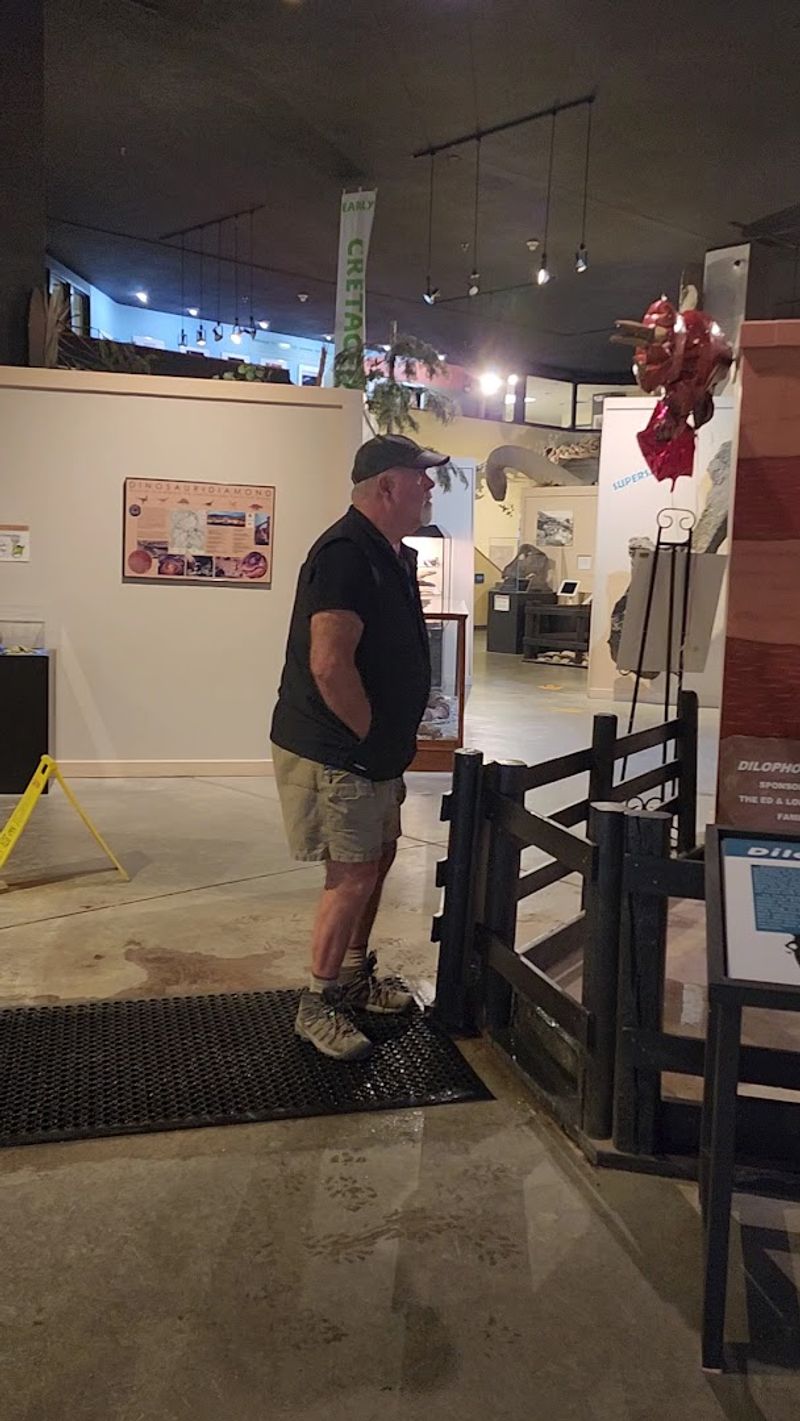 The Simulated Earthquake Ride Experience