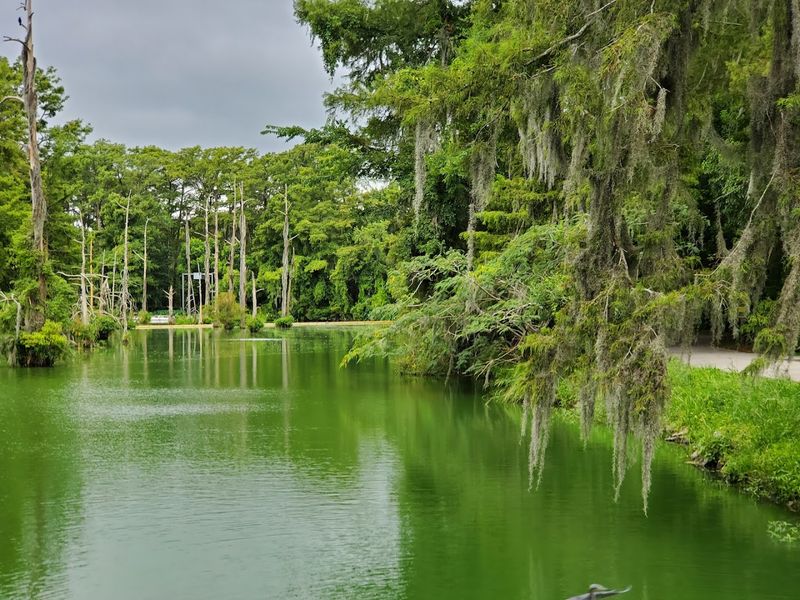 The Sprawling 252-Acre Grounds That Feel Like Another World