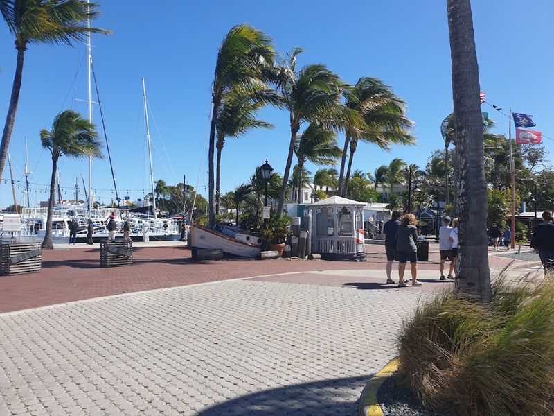 The Starting Point: Key Largo Sets the Tone