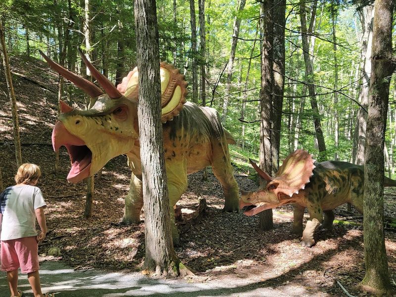 The Storybook Village: Where Imagination Comes to Life