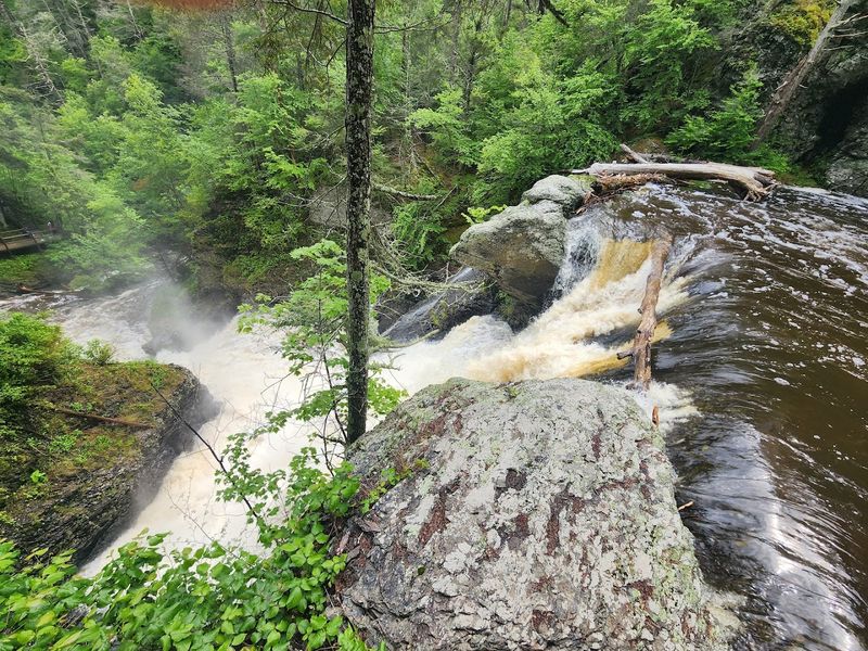 The Surrounding Forest Makes the Hike Feel Magical The Surrounding Forest Makes the Hike Feel Magical