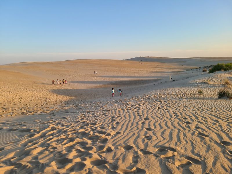 The Tallest Sand Dunes on the East Coast The Tallest Sand Dunes on the East Coast