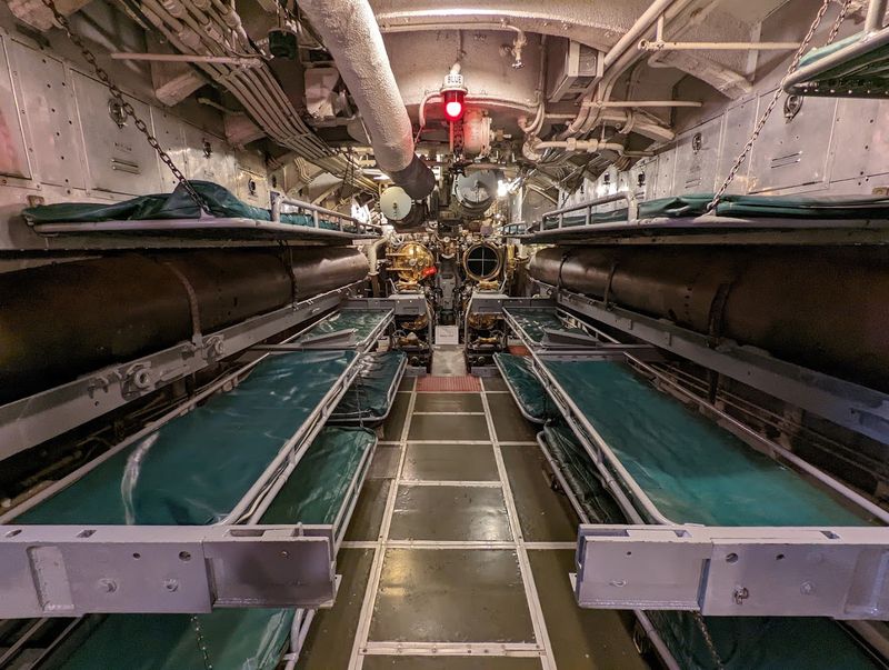 The Torpedo Room Experience