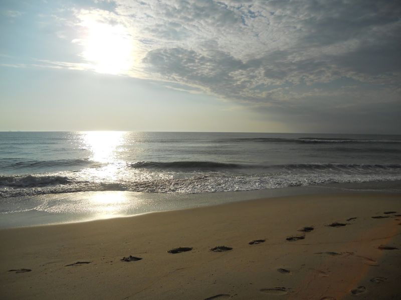 The Unspoiled Beaches of Sandbridge