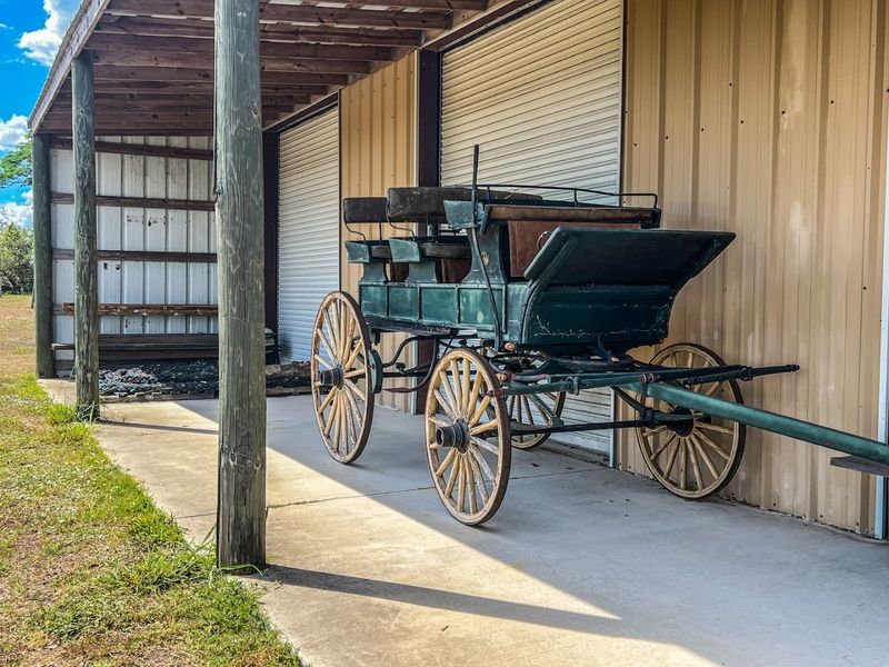 The Vintage Automobile Collection Tour