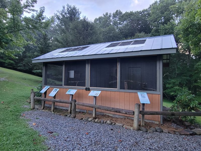 The Visitor Center Experience