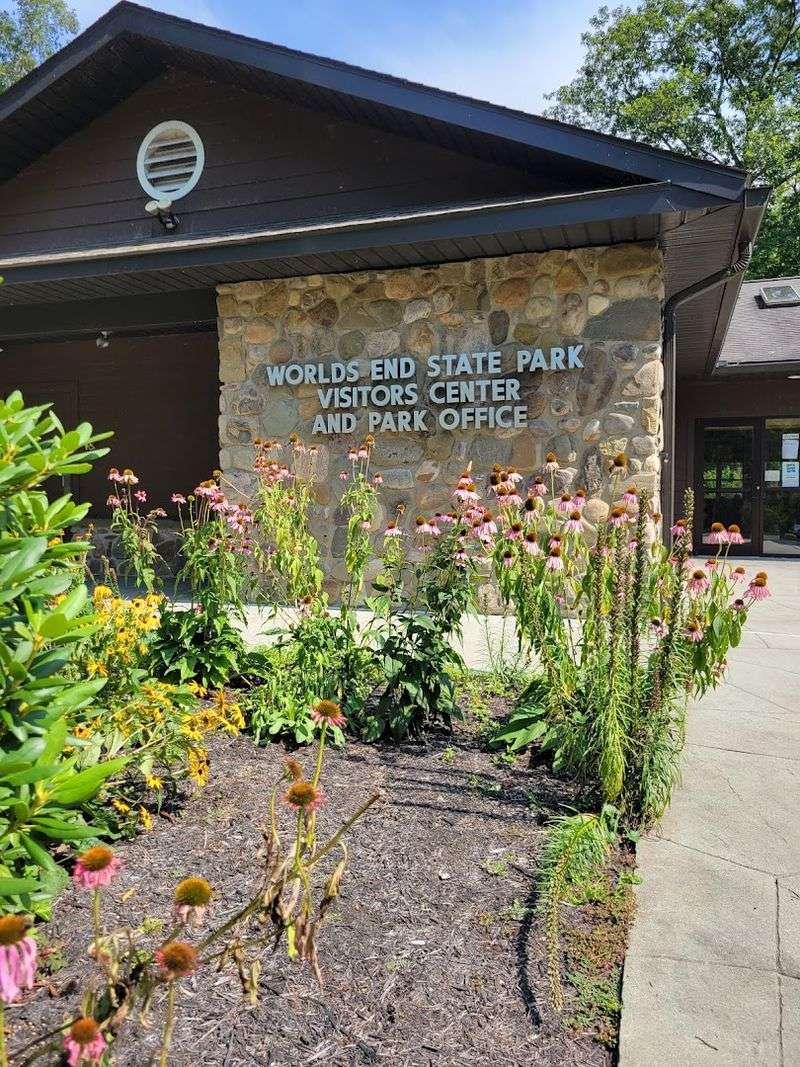 The Visitor Center: Your Best First Stop in the Park