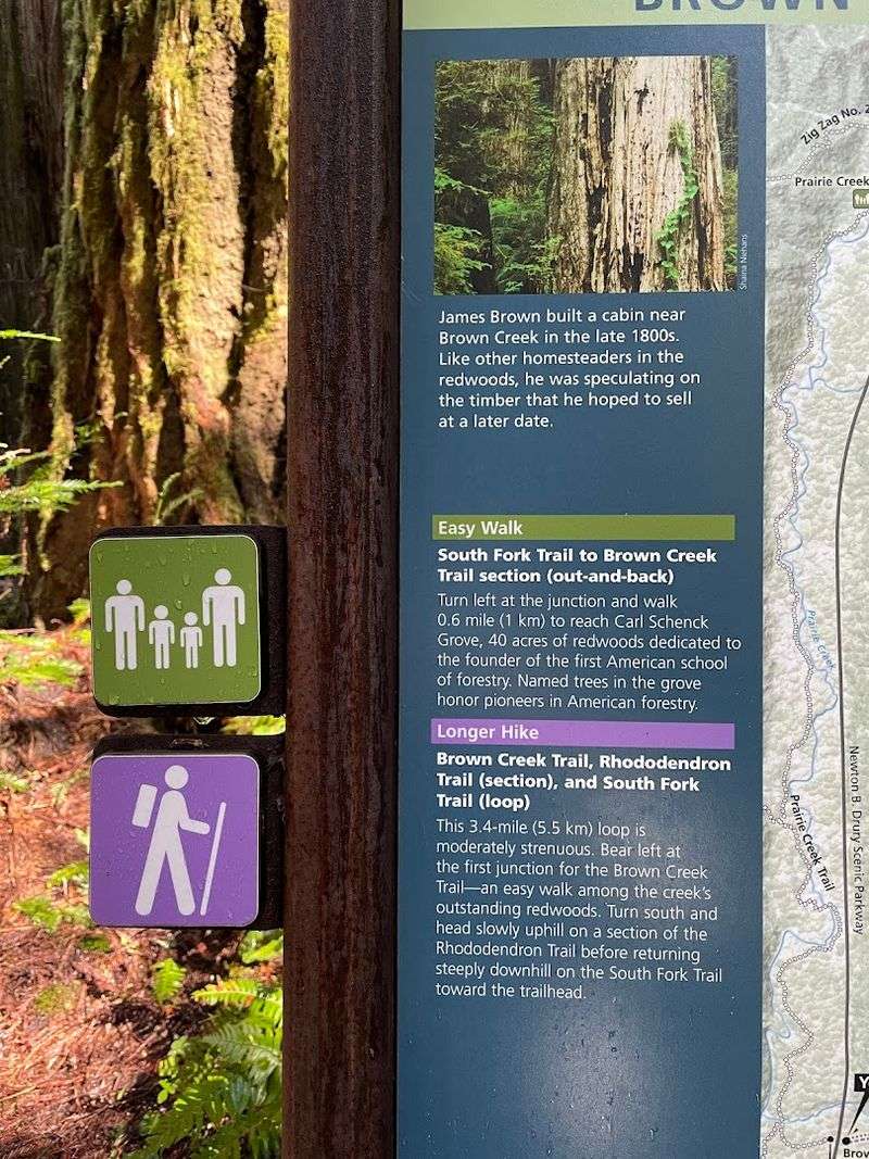 The Visitor Center: Your Best Starting Point
