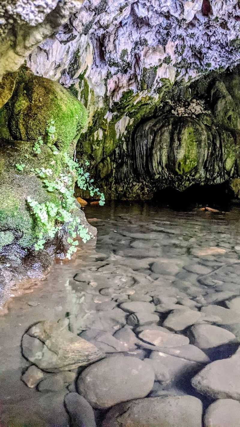The Water: Cold, Clear, and Surprisingly Deep