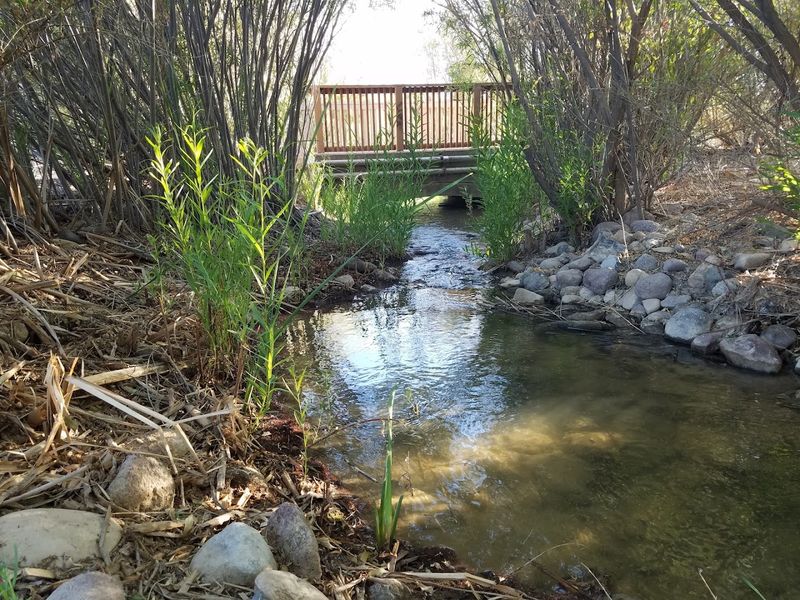 The Weir Bridge: A Desert Surprise You Have to See The Weir Bridge: A Desert Surprise You Have to See