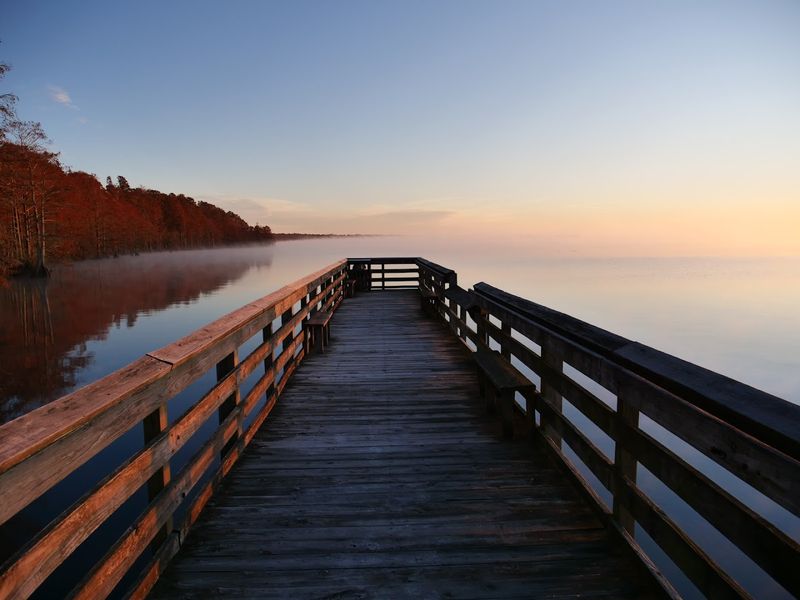 The Well-Maintained Boardwalk Trail