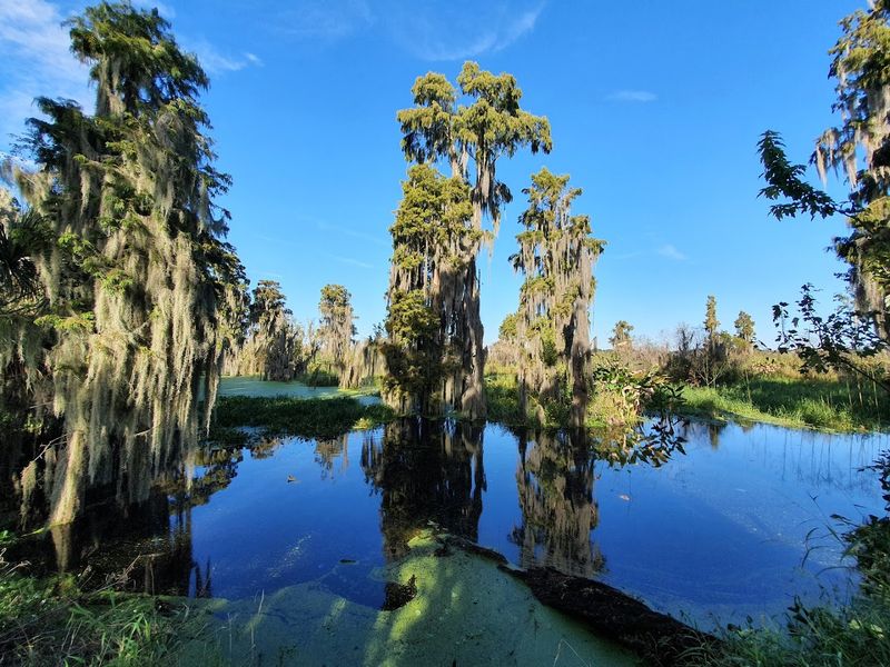 The Wetland Views That Look Straight Out of a Painting The Wetland Views That Look Straight Out of a Painting