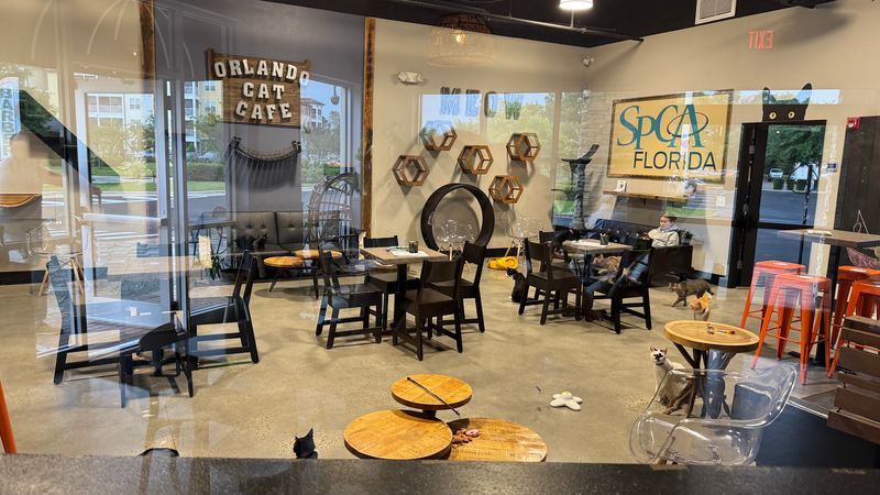 The Whimsical Café Décor and Atmosphere