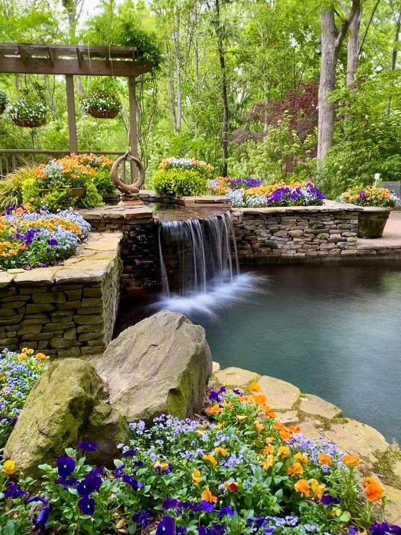The Wildflower Garden and Its Butterfly Visitors